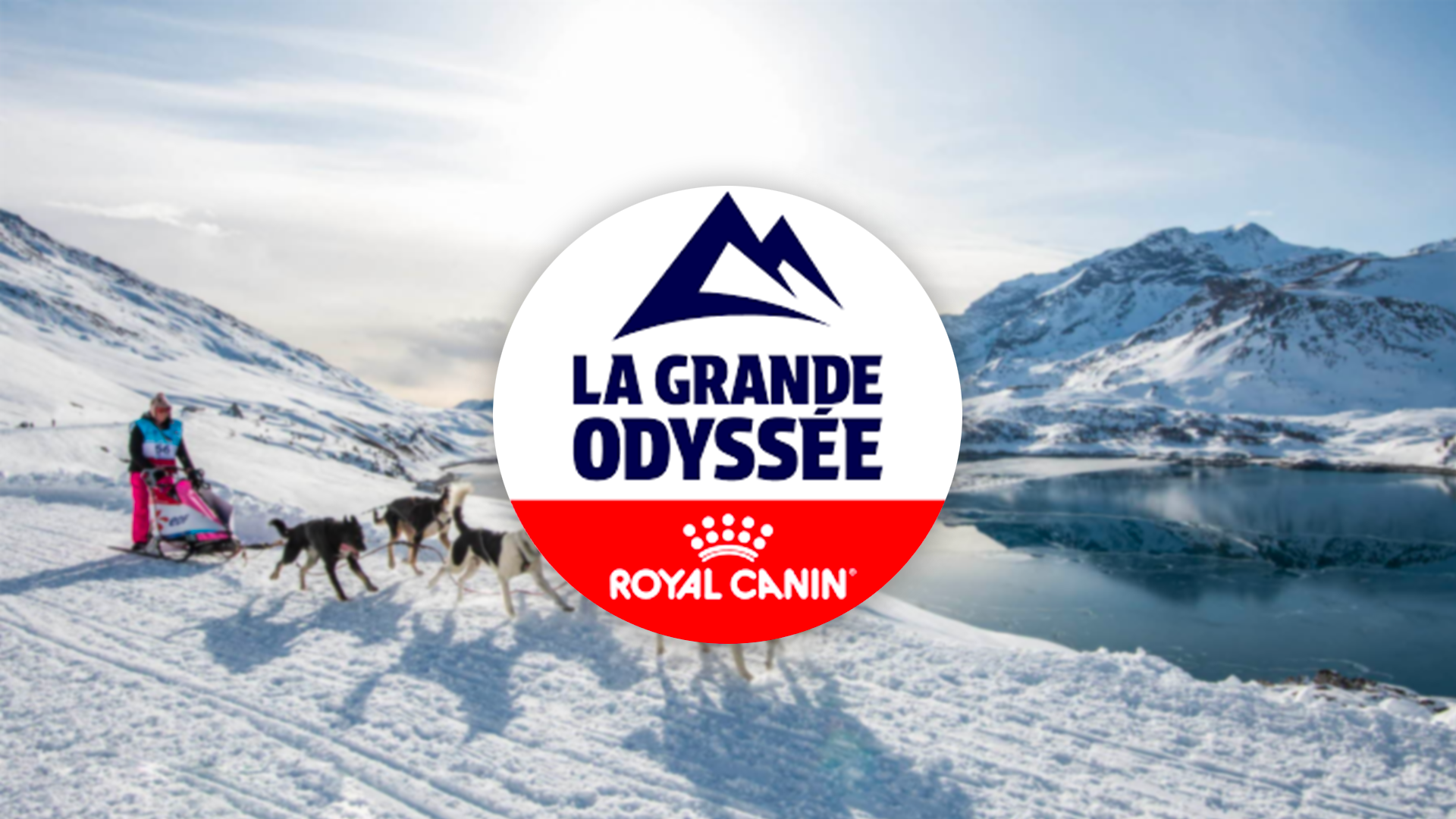 Miniature grande Odyssée
